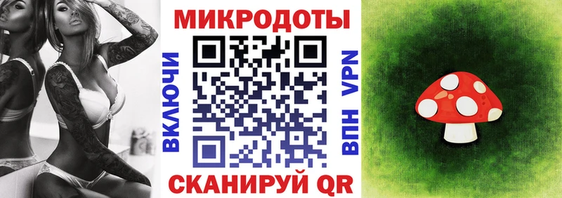 Галлюциногенные грибы Psilocybine cubensis сколько стоит Бородино