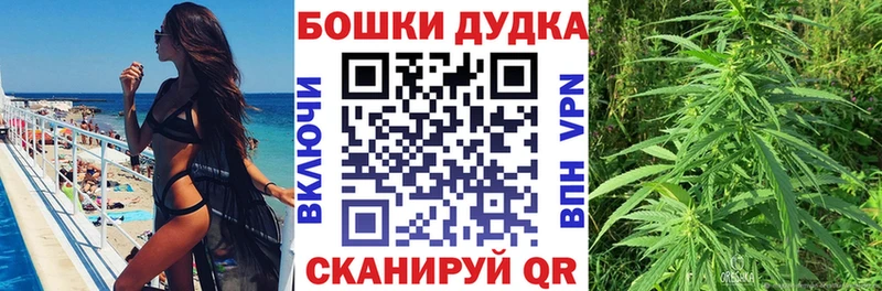 Марихуана план Бородино